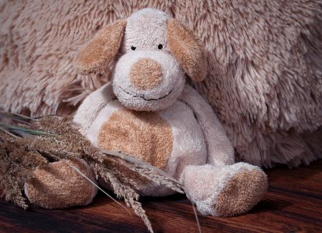 Free Stock Photo of Soft