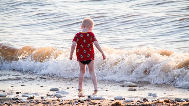 Free Stock Photo of Little Kid