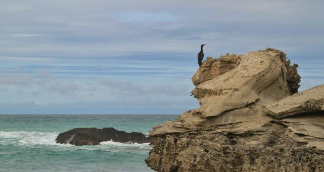 Free Stock Photo of Rocky Shore