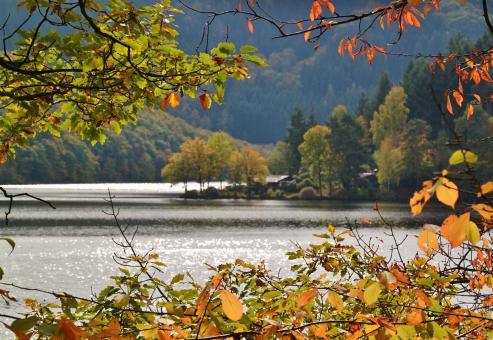 Free Stock Photo of Lake