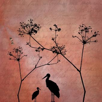 Free Stock Photo of Art