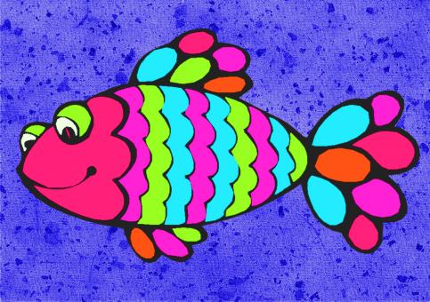 Free Stock Photo of Colorful Fish