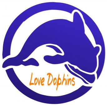 Free Stock Photo of Love Dolphins