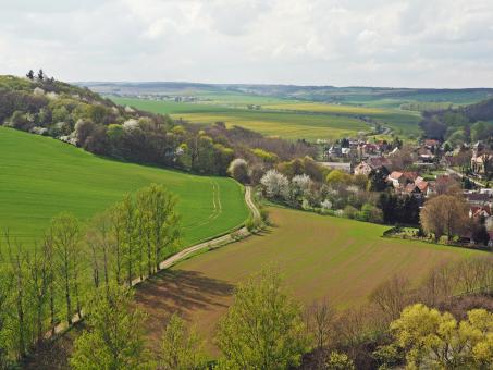 Free Stock Photo of Spring In The Country