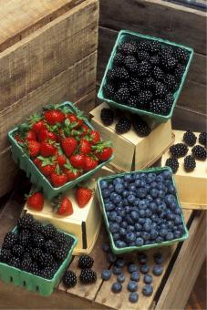 Free Stock Photo of Fresh Berries
