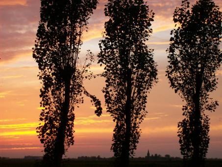 Free Stock Photo of Sunset