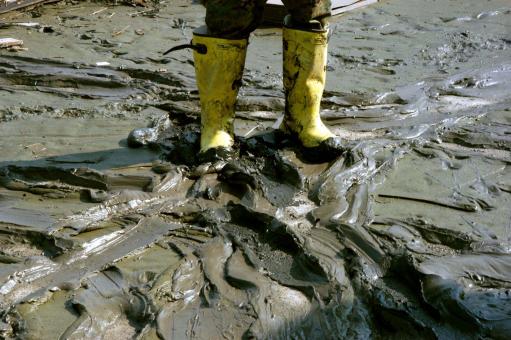 Free Stock Photo of Walking on the Mud