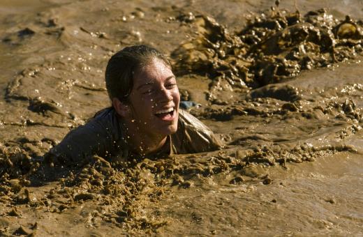 Free Stock Photo of Crawling in the Mud