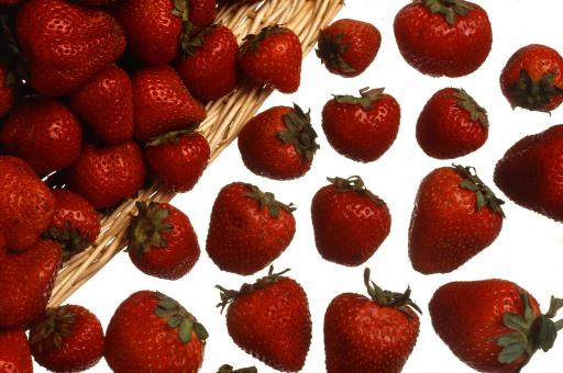 Free Stock Photo of Fresh Strawberries