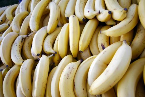 Free Stock Photo of White Bananas