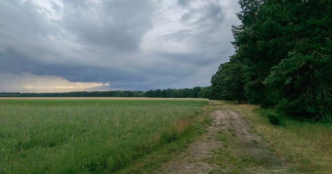 Free Stock Photo of Landscape Brandenburg