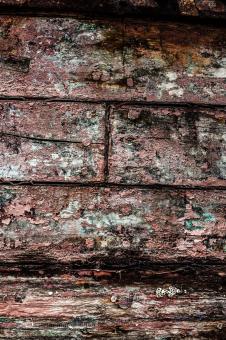 Free Stock Photo of Gritty Wood