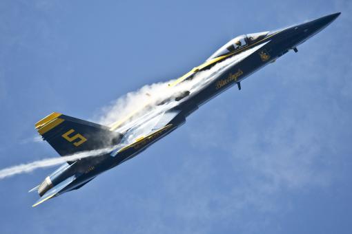 Free Stock Photo of Blue Angel