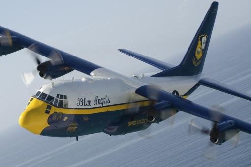 Free Stock Photo of Blue Angel