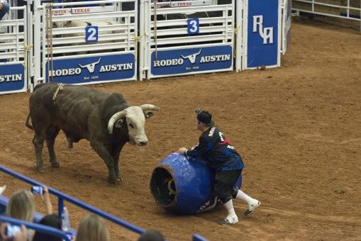Free Stock Photo of Rodeo Austin