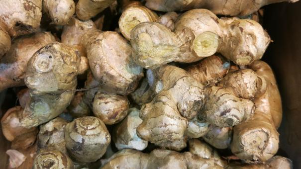 Free Stock Photo of Fresh Ginger