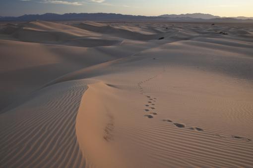 Free Stock Photo of Sand Dunes