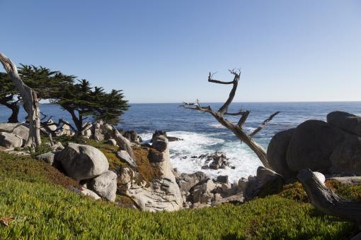 Free Stock Photo of Pacific Ocean