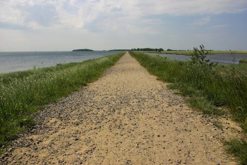 Free Stock Photo of River Bank