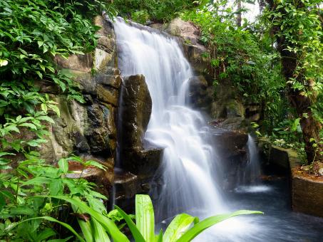 Free Stock Photo of Wild Waterfall