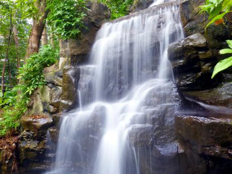 Free Stock Photo of Wild Waterfall