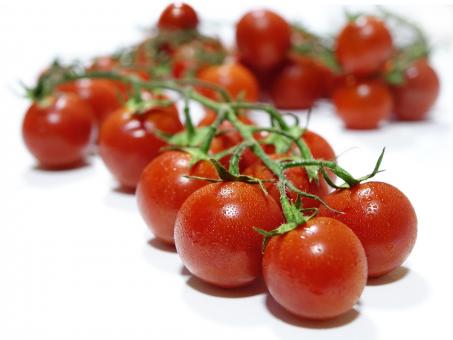 Free Stock Photo of Fresh Tomatoes