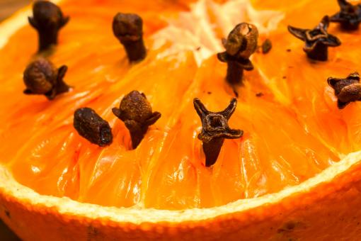 Free Stock Photo of Studded Orange