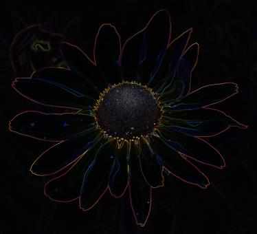 Free Stock Photo of Abstract Flower