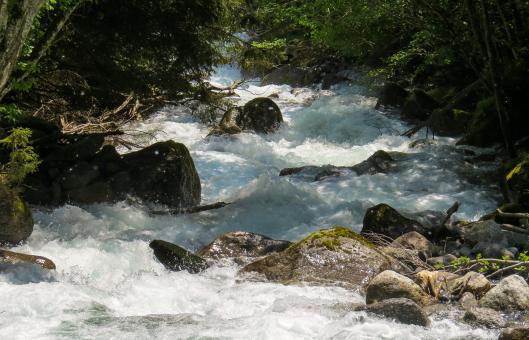 Free Stock Photo of Running Water Stream