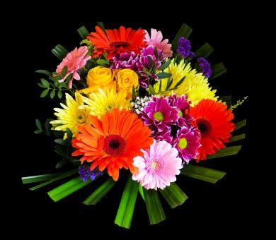 Free Stock Photo of Flower Bouqet