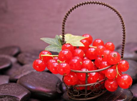 Free Stock Photo of Fresh Currants