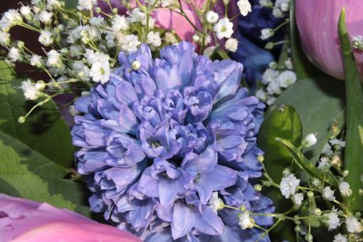 Free Stock Photo of Flower Bouquet