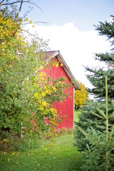 Free Stock Photo of Wooden Barn