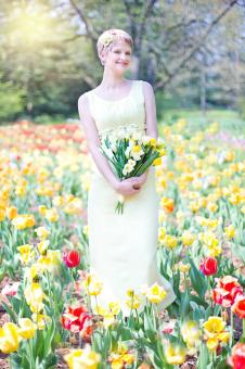 Free Stock Photo of Field of Tulips