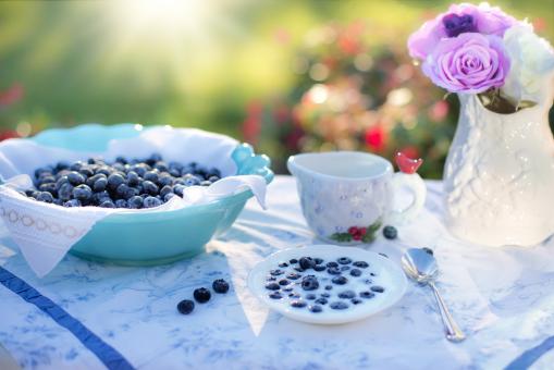 Free Stock Photo of Fresh Blueberries