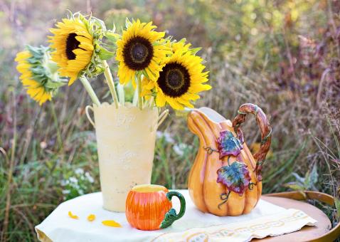 Free Stock Photo of Sunflowers at the Table