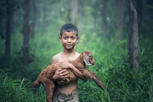 Free Stock Photo of Little Boy with Goat