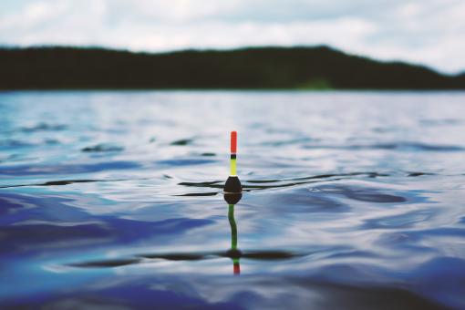 Free Stock Photo of Floating in the Water