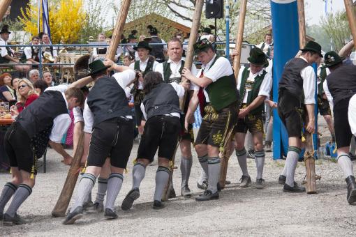 Free Stock Photo of European Maypole 