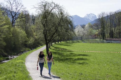 Free Stock Photo of Two Friends Walking