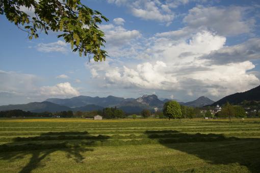 Free Stock Photo of Scenic View