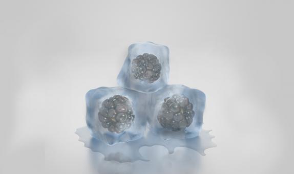 Free Stock Photo of Ice Cubes