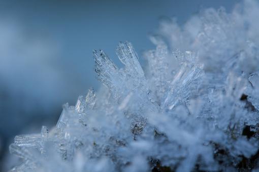 Free Stock Photo of Hoarfrost