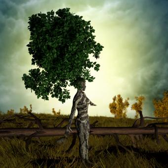 Free Stock Photo of The Soul of Nature
