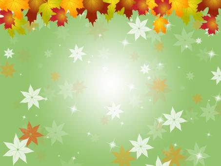 Free Stock Photo of Nature Fall Shows Environmental Bloom And Florist