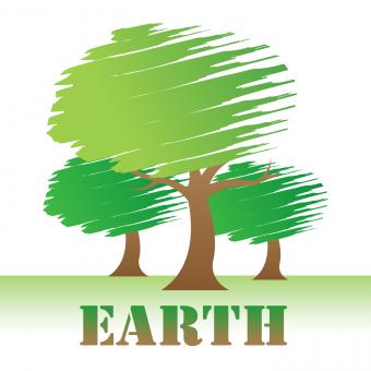 Free Stock Photo of Earth Trees Represents Environment Forest And Nature