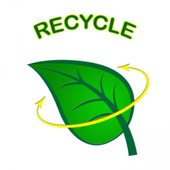 Free Stock Photo of Recycle Leaf Represents Earth Friendly And Conservation
