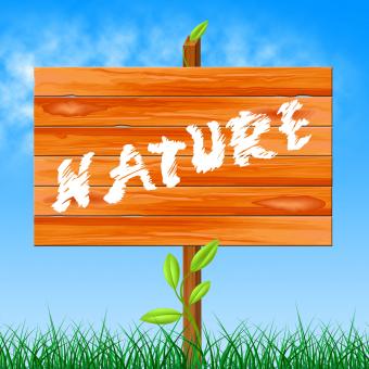 Free Stock Photo of Nature Natural Shows Rural Tree And Trees