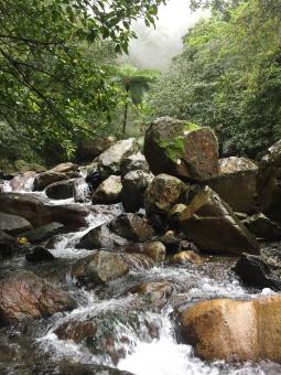 Free Stock Photo of Small Rapids
