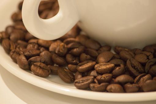 Free Stock Photo of Coffee Beans